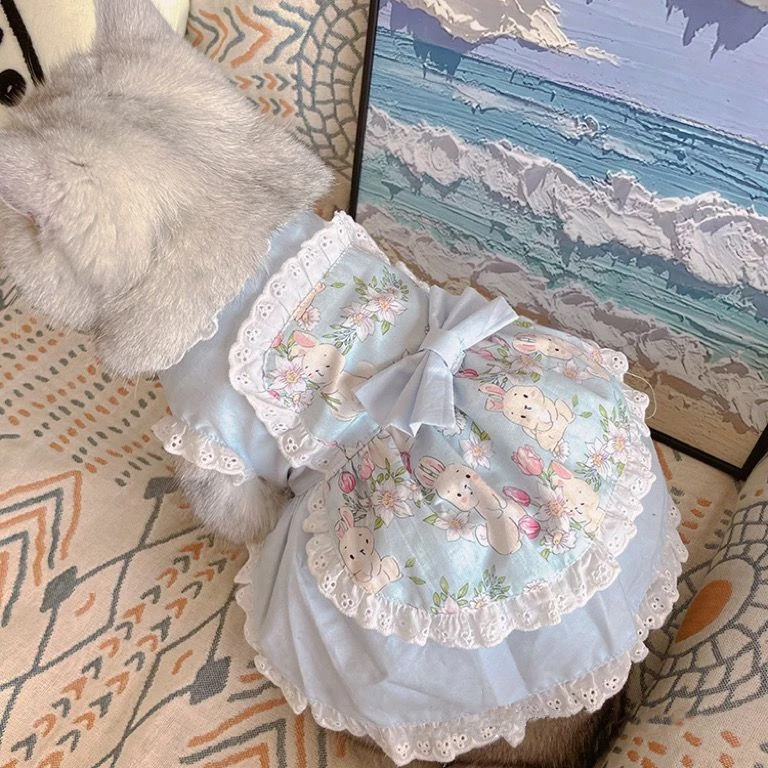 Lace Teddy Lingerie - Pet Cute Apron Dress Lace Floral