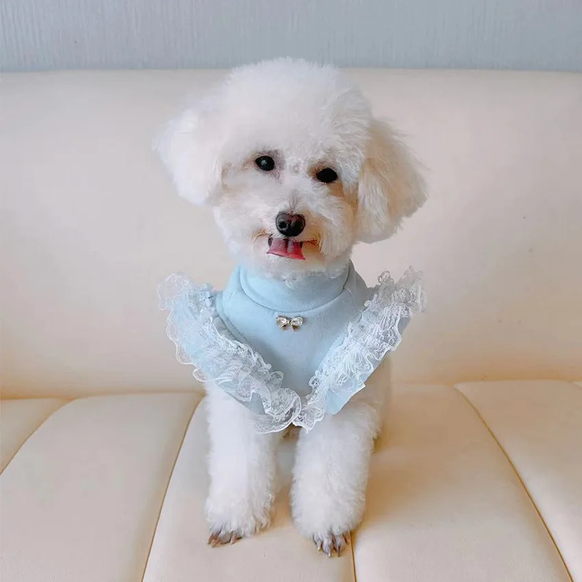 Pet Clothing Autumn and Winter - огляд і ціна Lace Teddy Lingerie