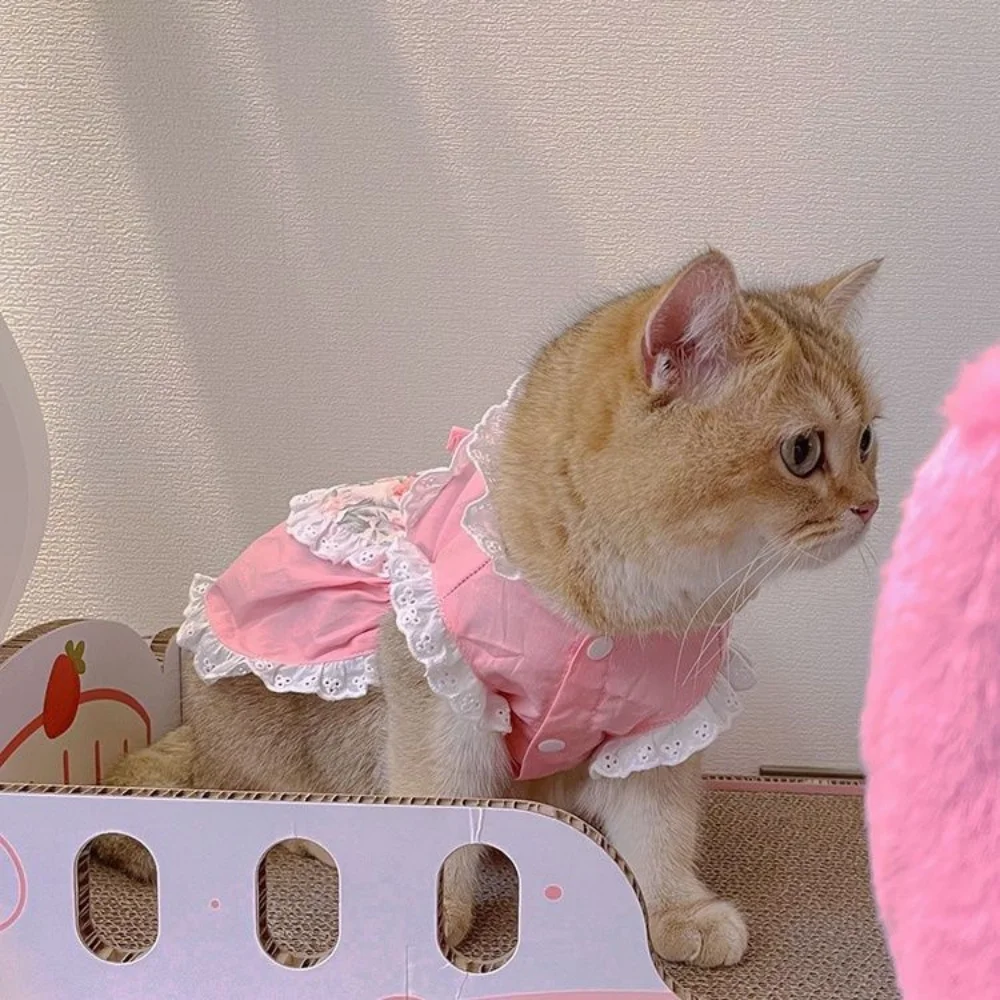 Pet Cute Apron Dress Lace Flor - огляд і ціна Lace Teddy Lingerie