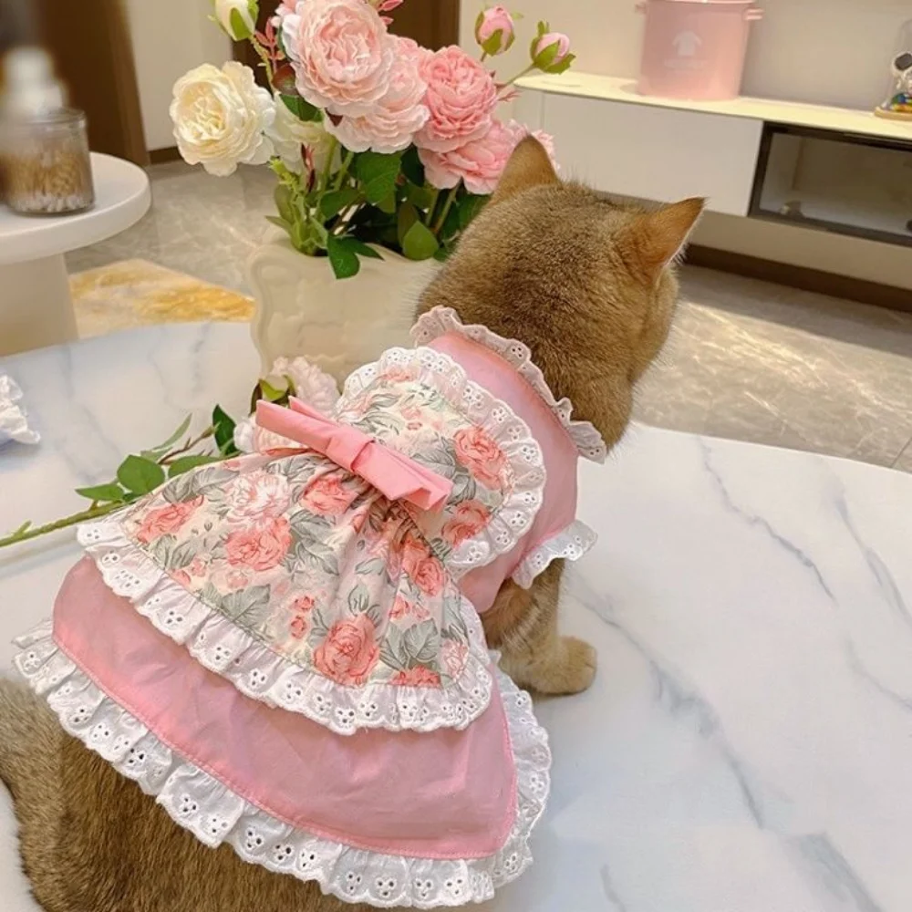 Pet Cute Apron Dress Lace Flor - огляд і ціна Lace Teddy Lingerie